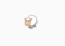 sheep.jpg